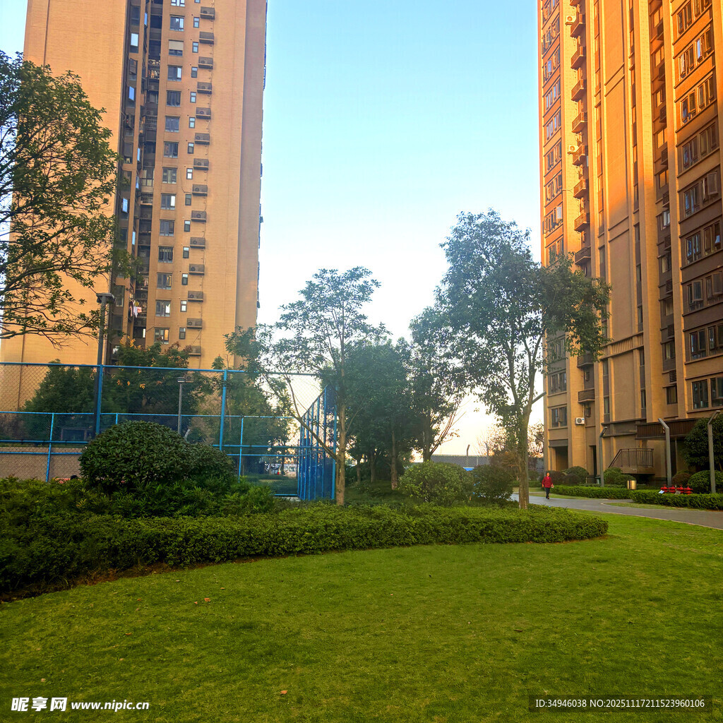 城市中的绿地与高楼景观