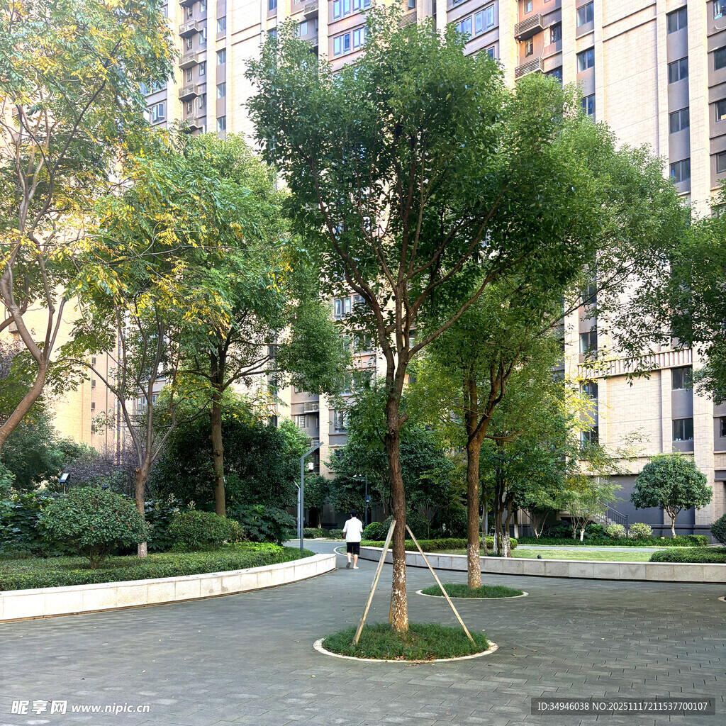 小区内绿意盎然的休闲小径