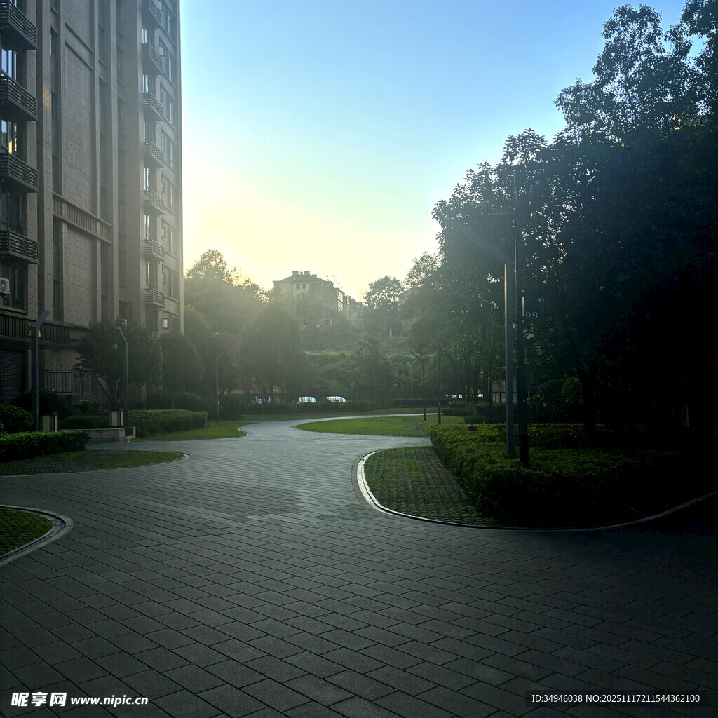 清晨小区内的静谧道路