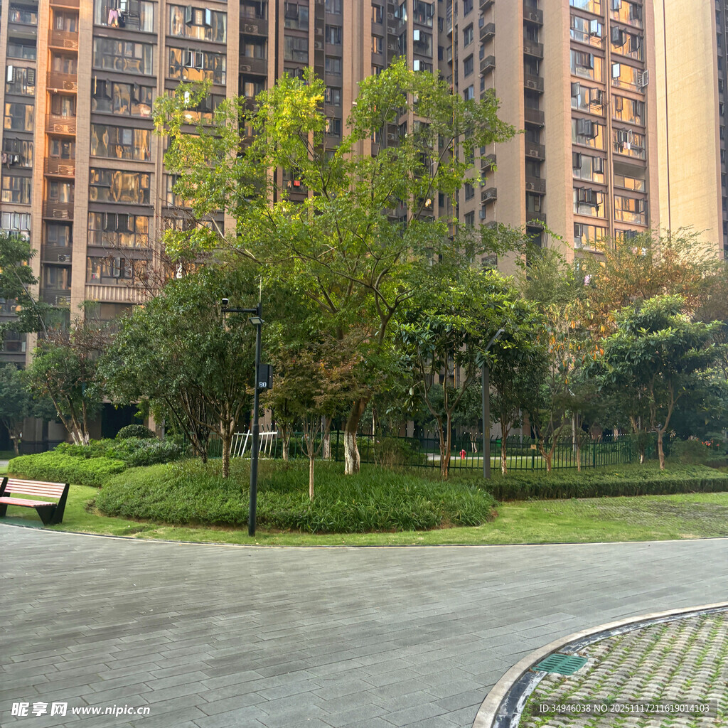 小区内的绿化景观