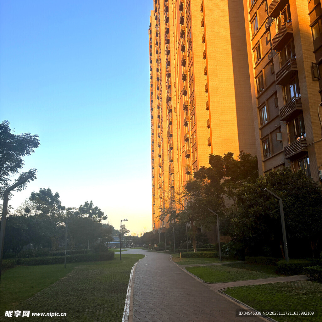 夕阳下的高楼与林荫小道