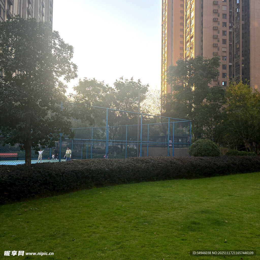 城市草坪旁的高楼与晨光