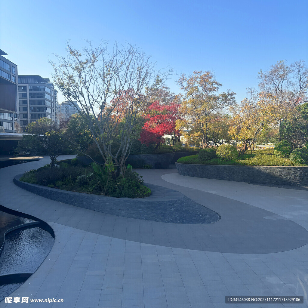 城市公园中的优美景观