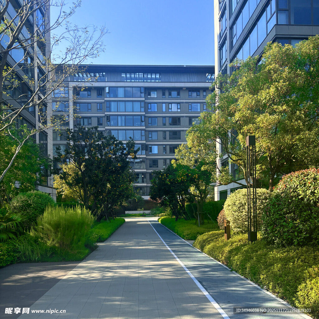 现代都市中的绿意景观道