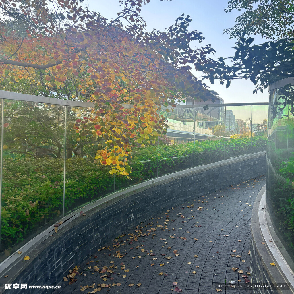 秋日雨中蜿蜒的湿润小径