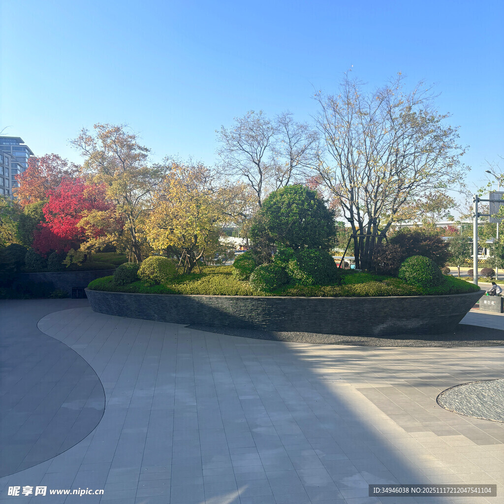 秋日公园景观一角