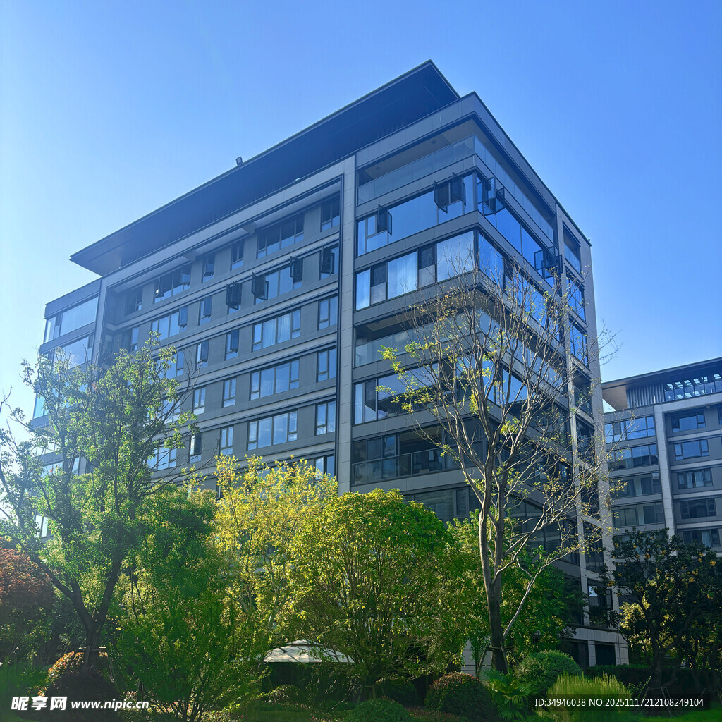 现代风格高楼与周边绿植