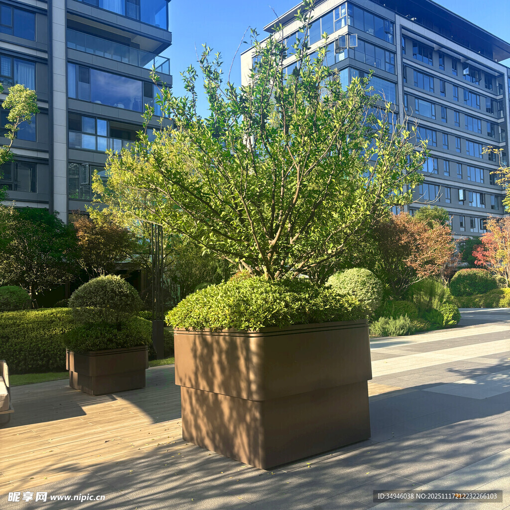 现代小区绿植景观