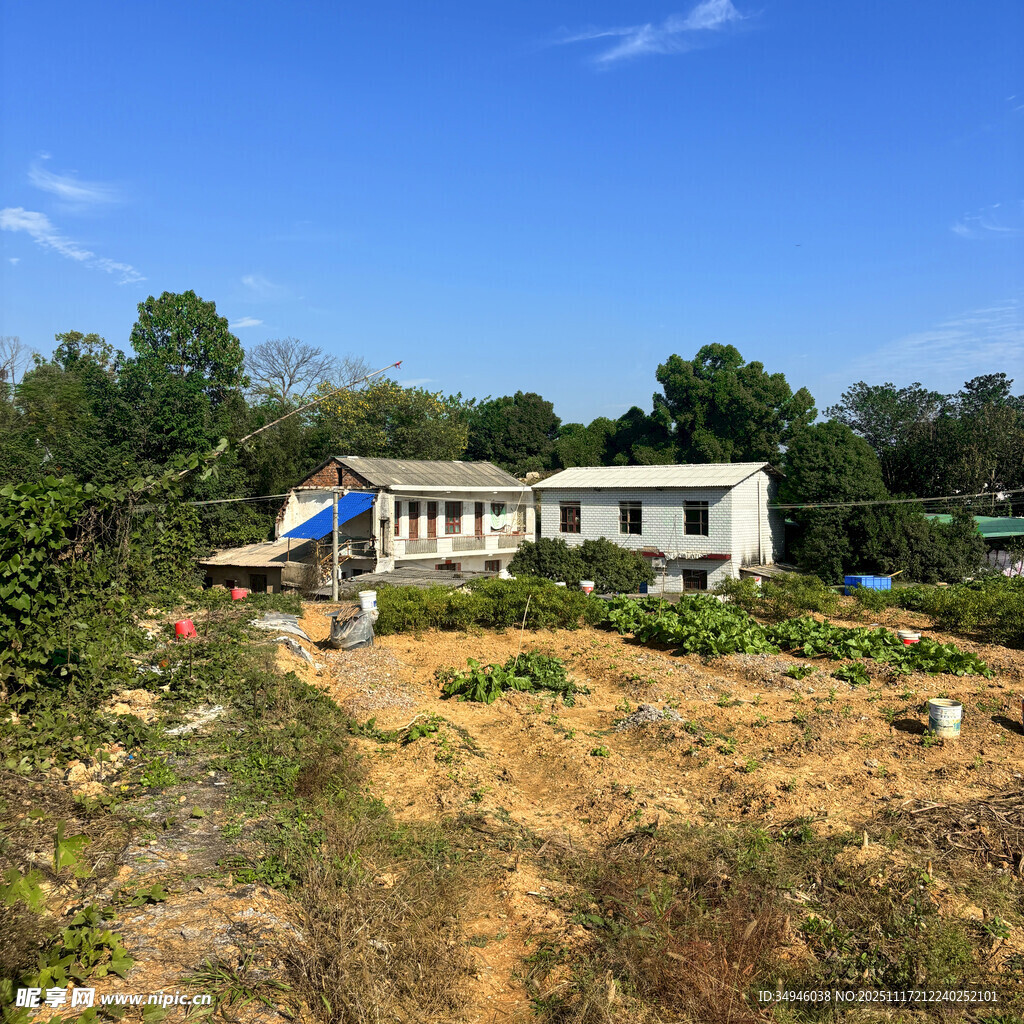 乡村田园中的自建房屋