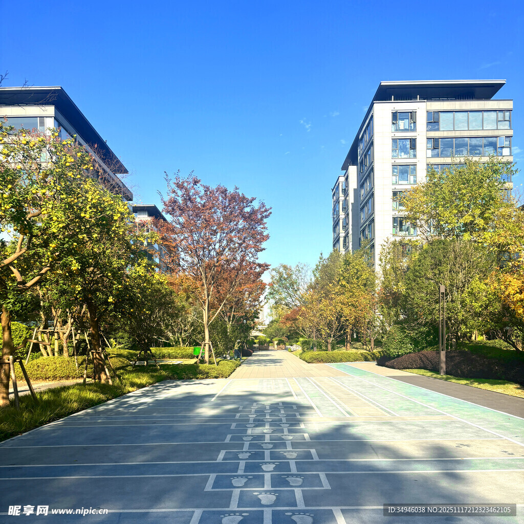 小区内的宽阔林荫道路