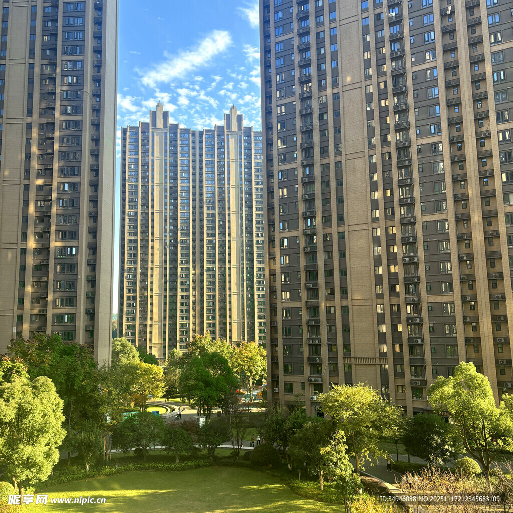 高层住宅旁的绿意景观