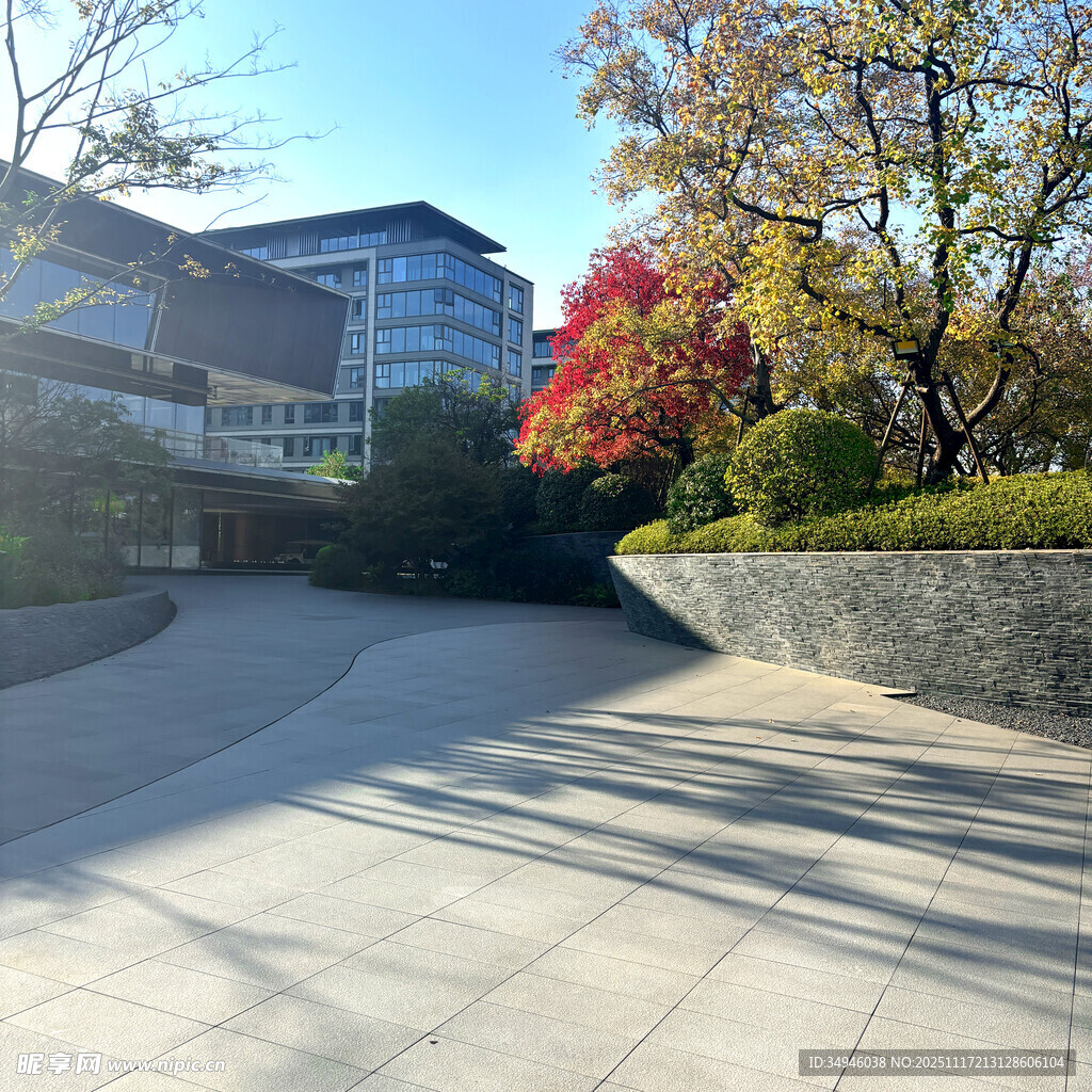 秋日校园建筑旁的开阔道路