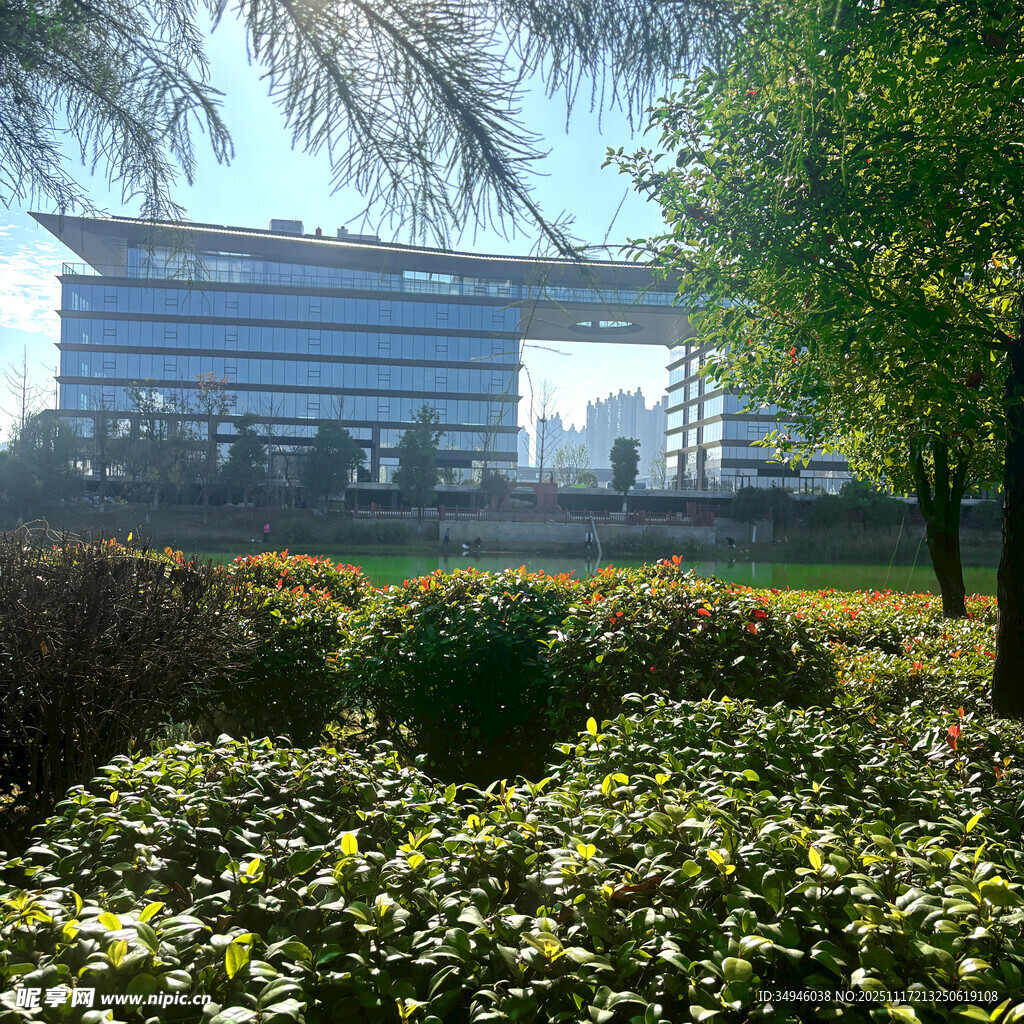 园区绿植环绕的现代建筑