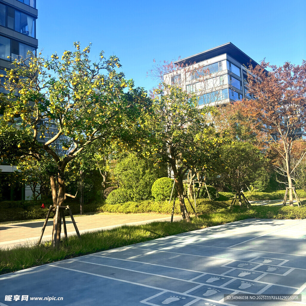 城市中静谧的绿化景观