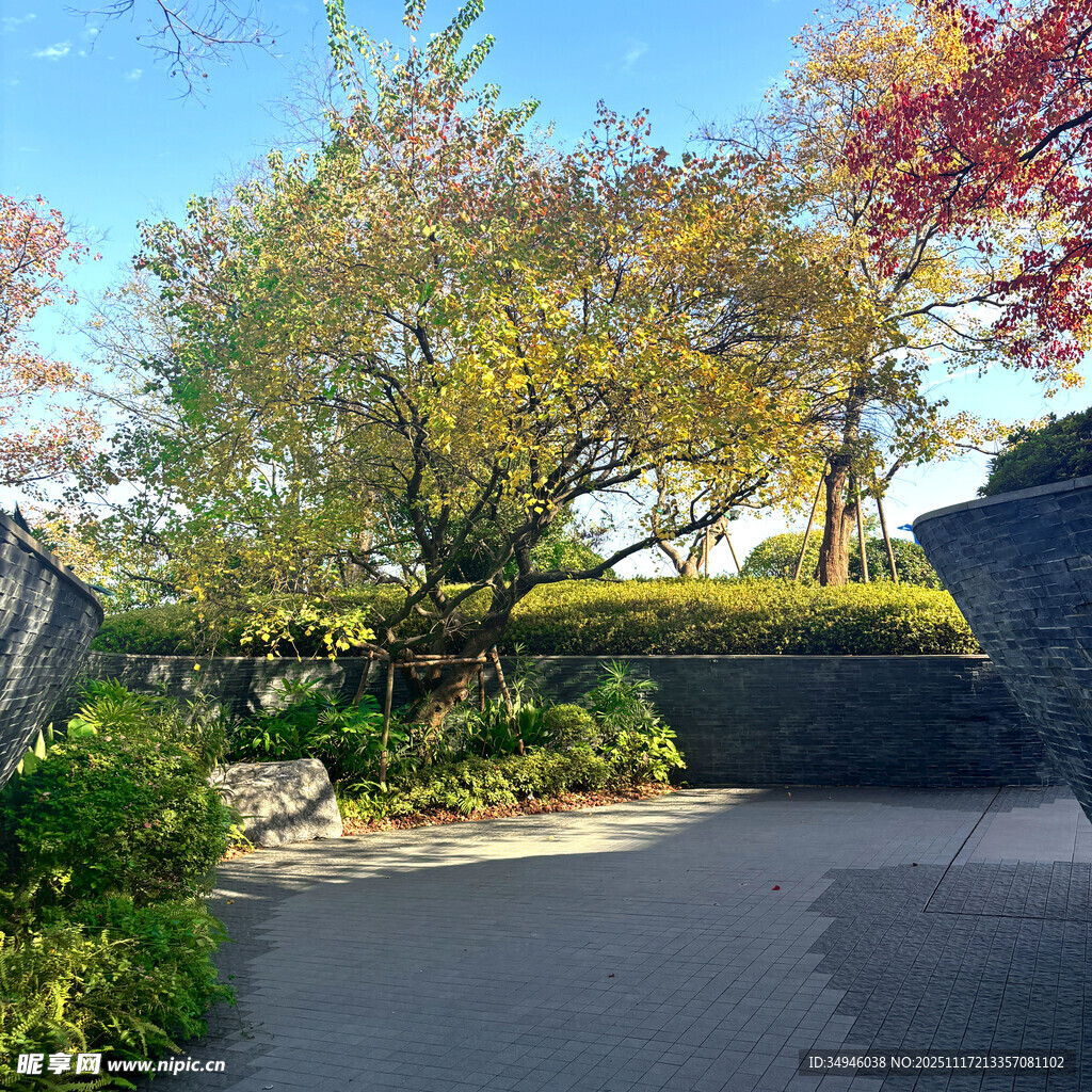 秋日园林小径美景