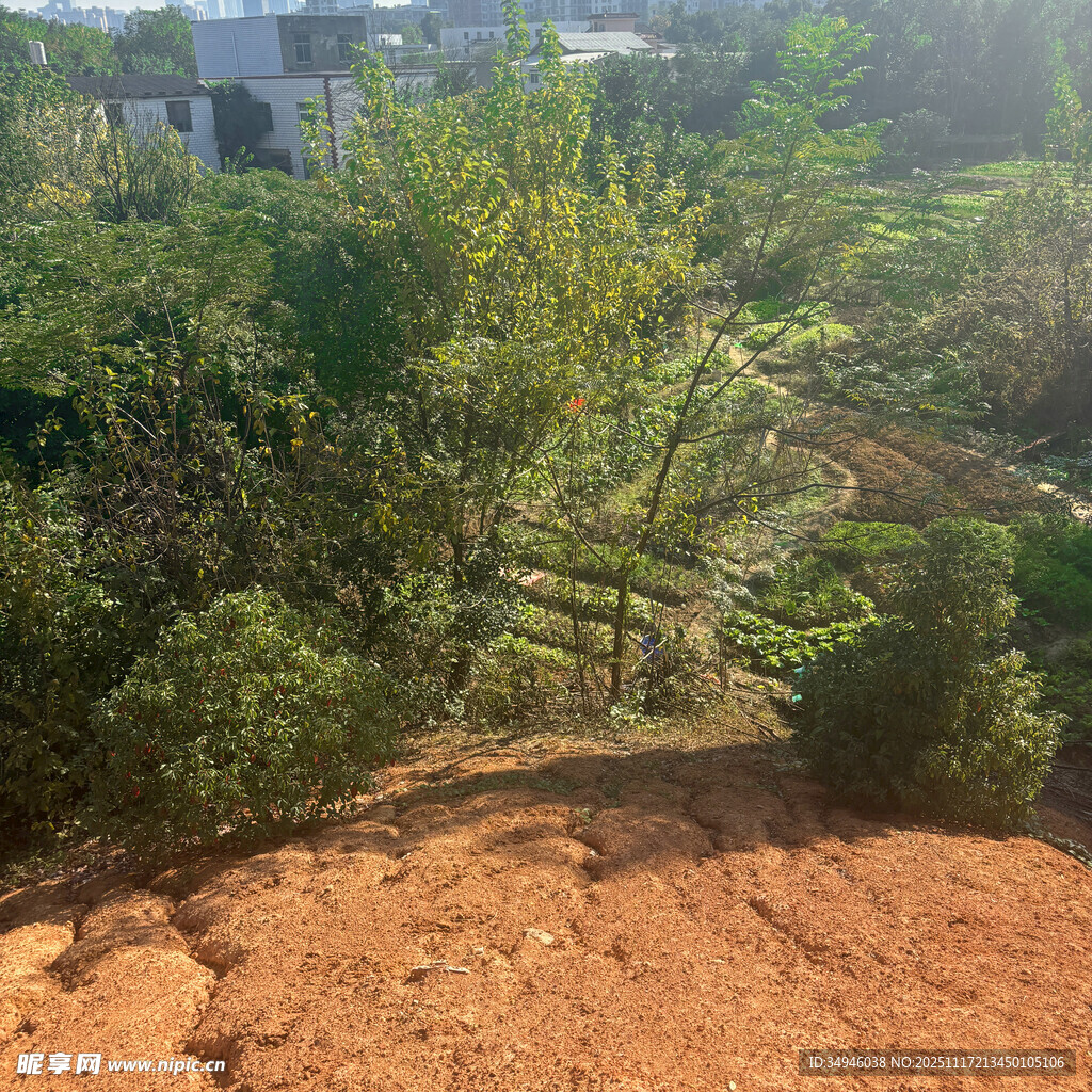 户外绿植与红土景观