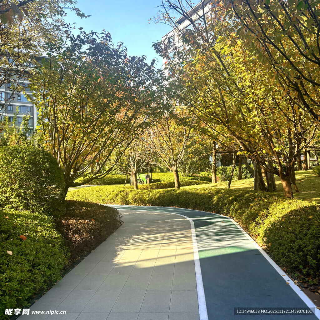 秋日林间的多彩健身步道