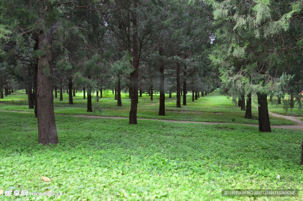 公园风景 
