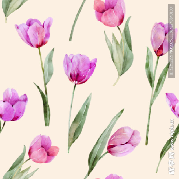 水彩粉色郁金香花卉图案