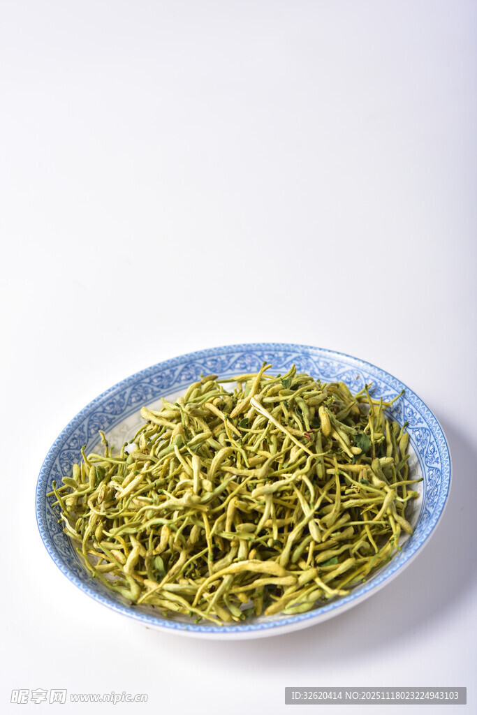 金银花 