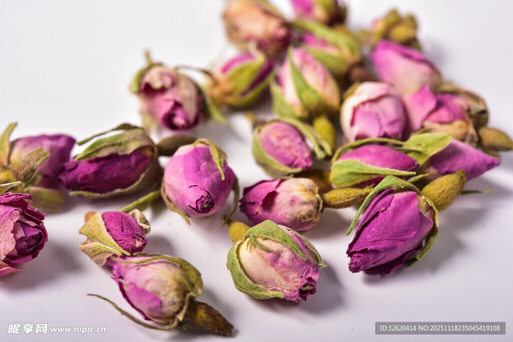 玫瑰花苞