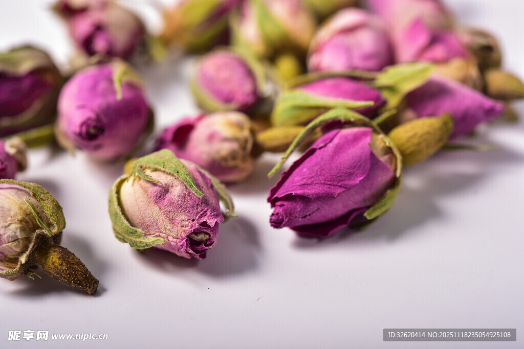 玫瑰花苞