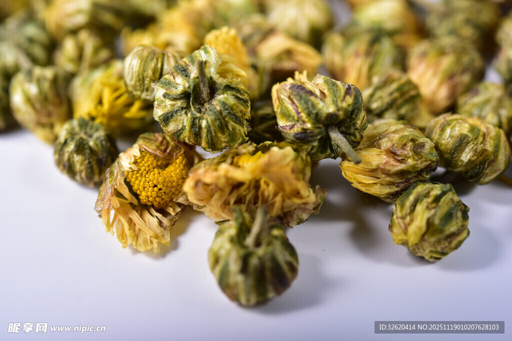 干菊花