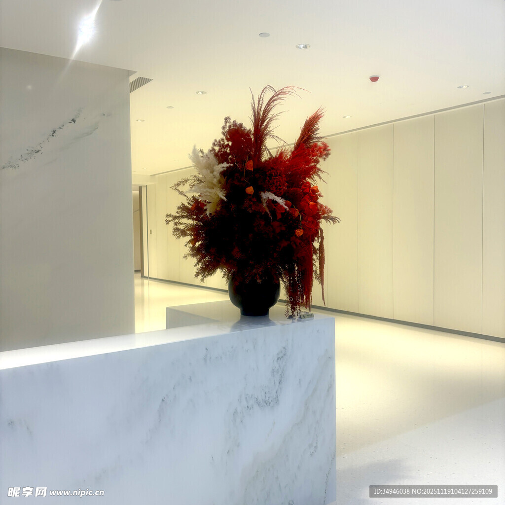 现代大厅中的红植装饰