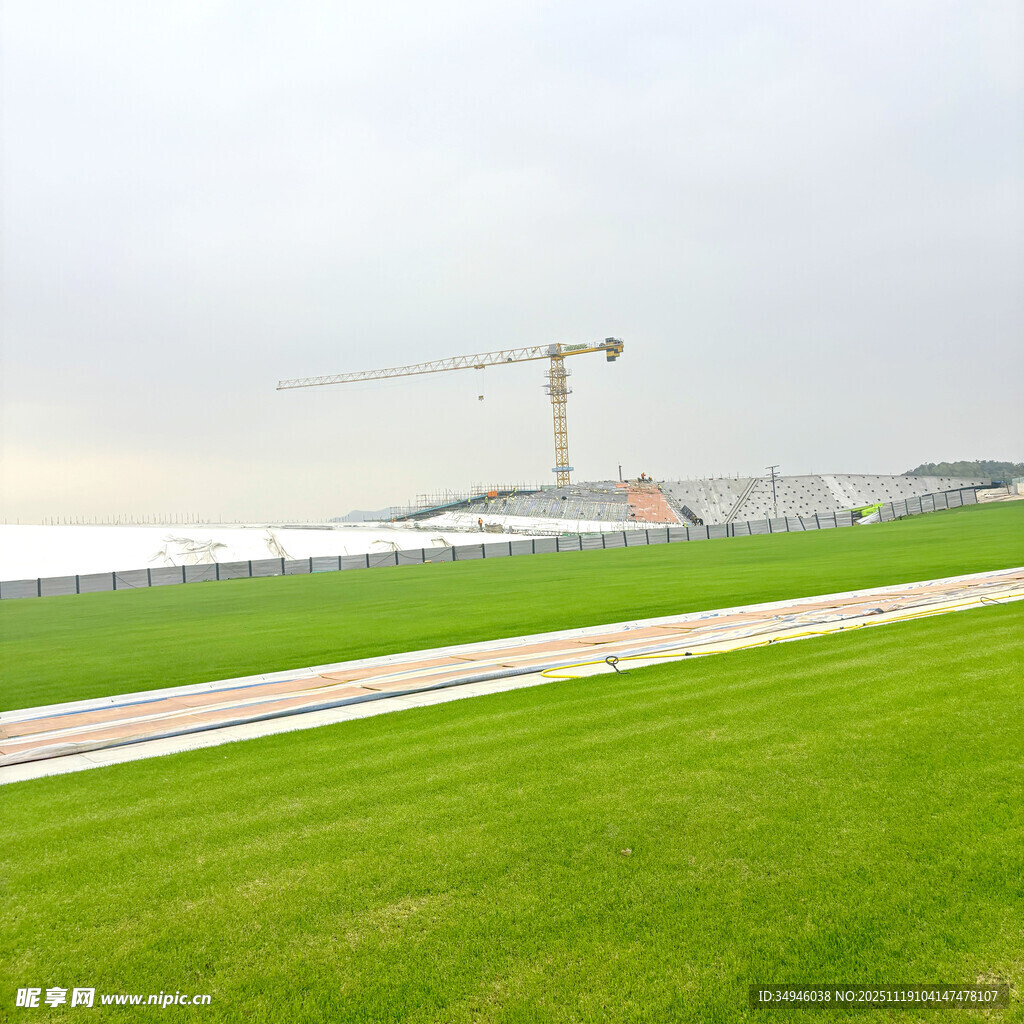 户外绿地与远处建筑起重机