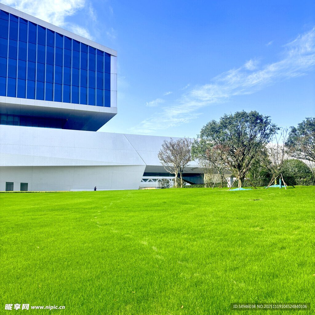 现代建筑旁的翠绿草坪