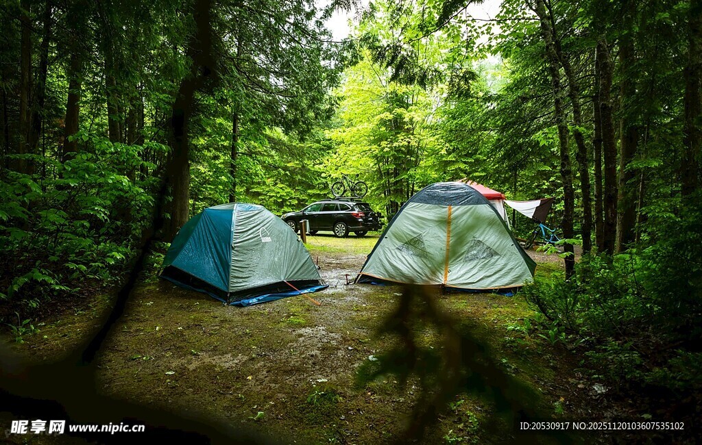 森林中的露营帐篷
