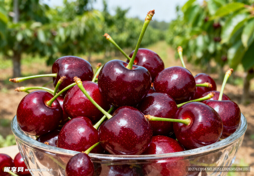 玻璃碗中的红樱桃