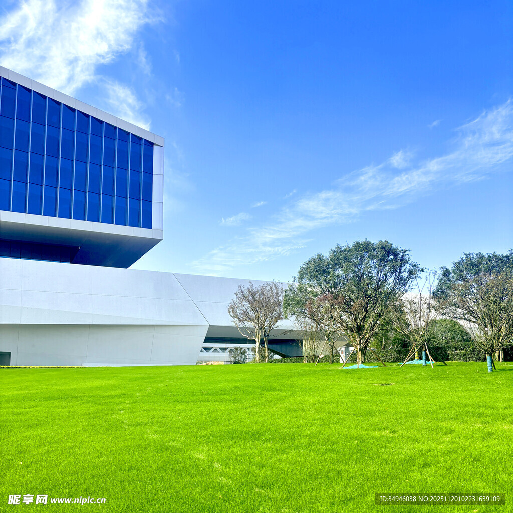 现代建筑旁的翠绿草坪