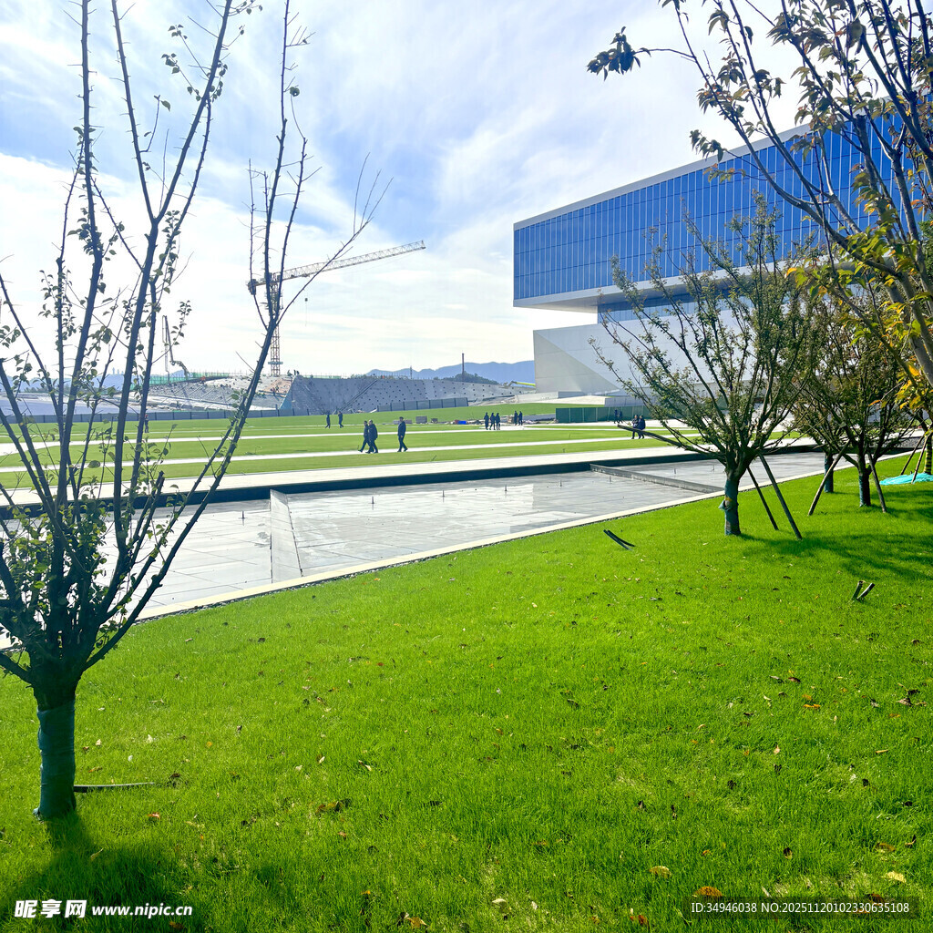 现代建筑旁的绿意草坪