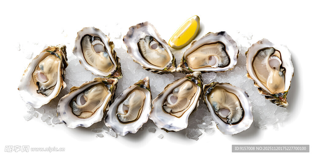 新鲜生蚝配柠檬