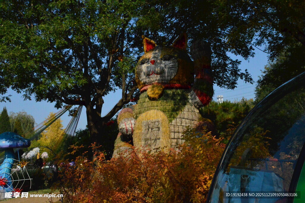 公园风景  