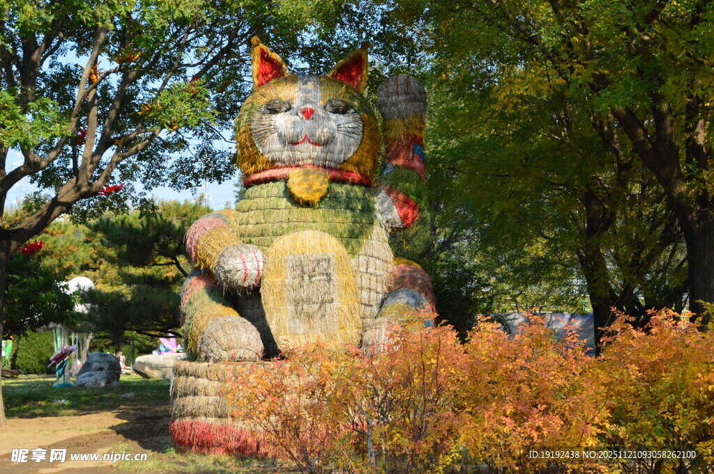公园风景  