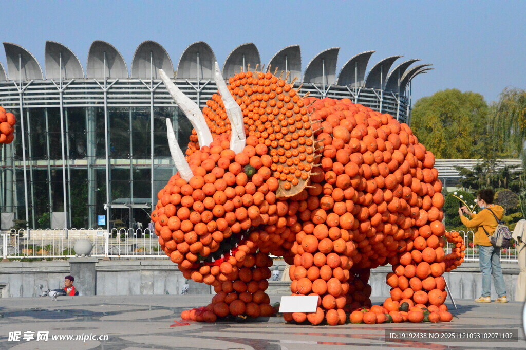 公园风景 