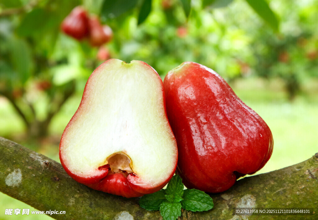 枝头切开的莲雾