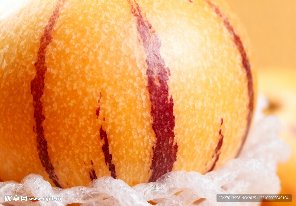 紫纹人参果特写