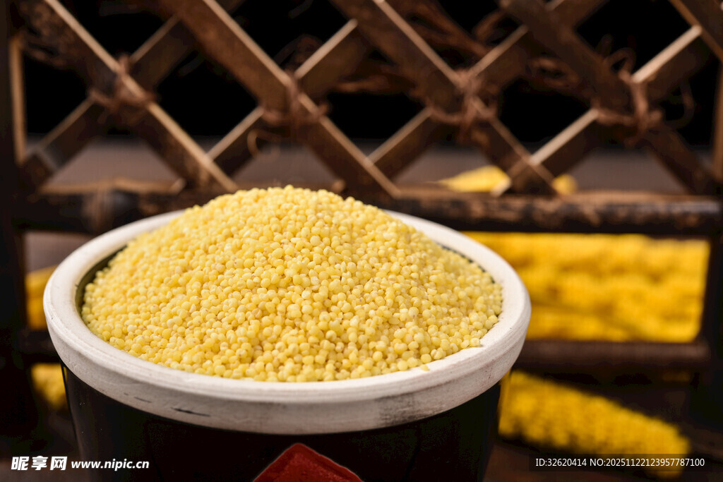 小米 谷物