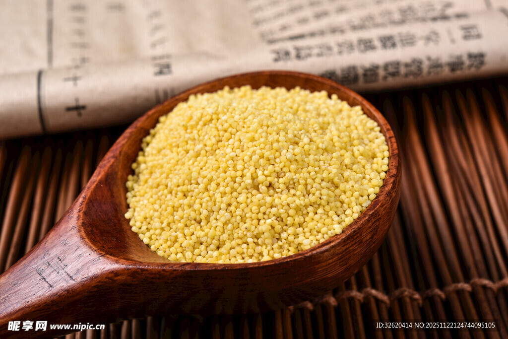 小米 谷物