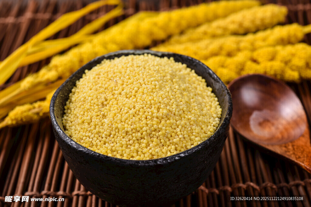 小米 谷物