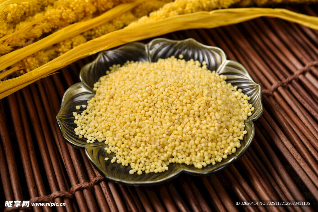 小米 谷物