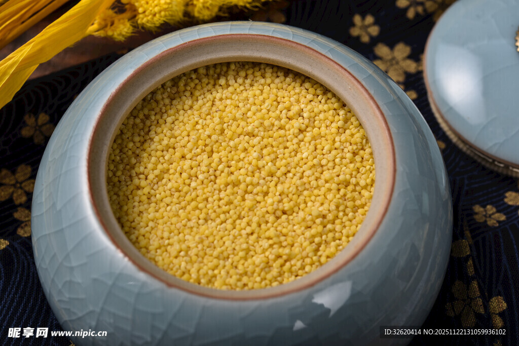小米 谷物