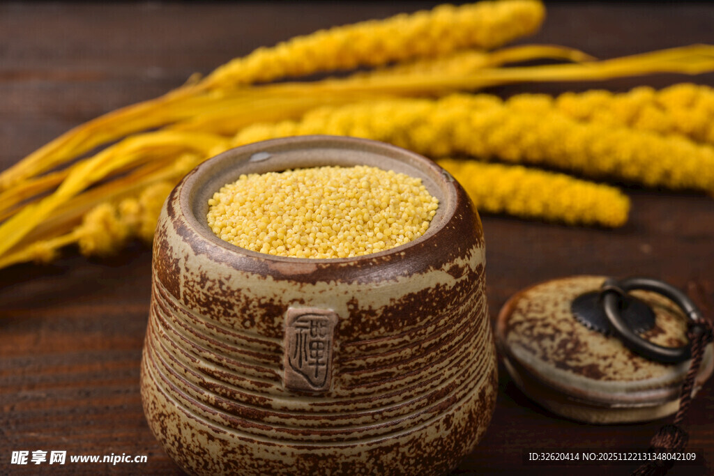 小米 谷物