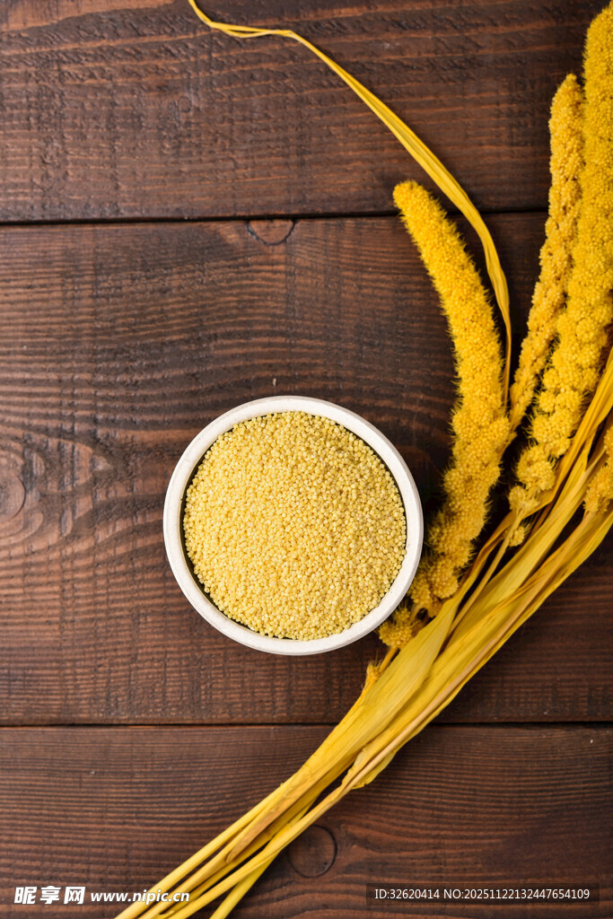 小米 谷物