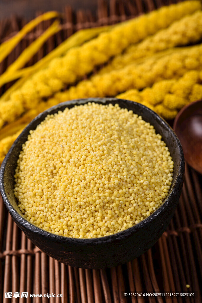 小米 谷物