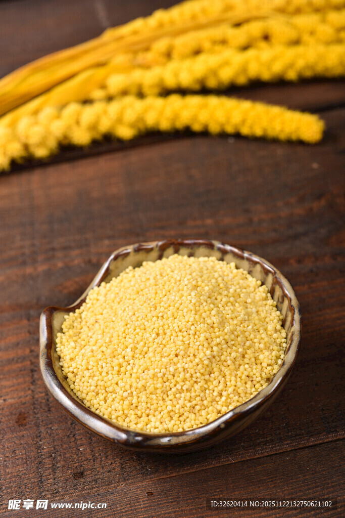 小米 谷物