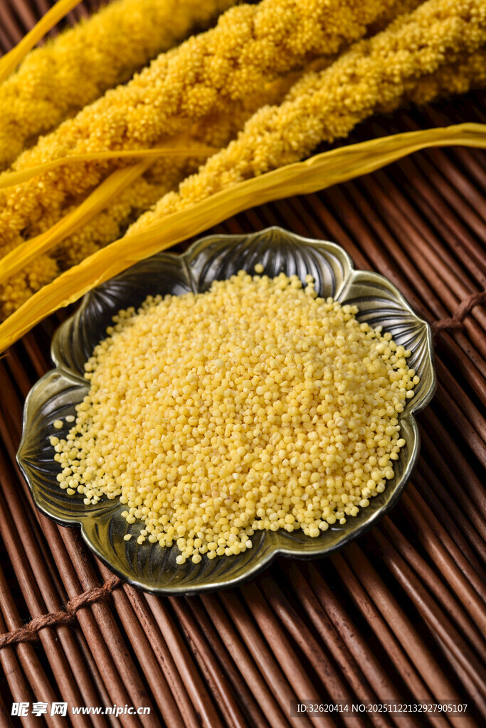 小米 谷物